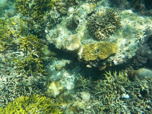 fondali di Gangga island